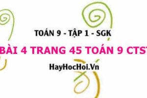 Bài 4 trang 45 Toán 9 tập 1 Chân trời sáng tạo